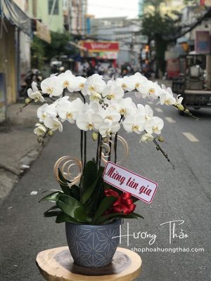 LHĐ001