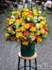 gio-hoa-xinh-hg031 - ảnh nhỏ  1