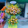 shop-hoa-tuoi-hai-duong - ảnh nhỏ  1