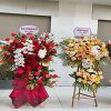 z5577216426089-0b740f99a24642041496abd9254858fb - ảnh nhỏ  1
