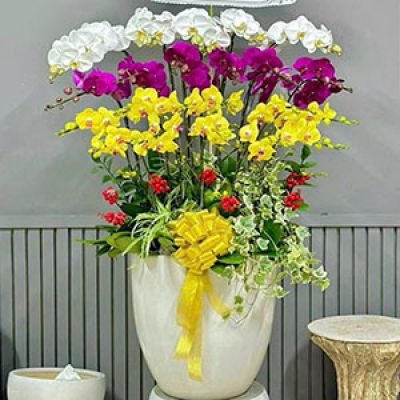 Shop hoa tươi Xã Quyết Thắng Hải Dương