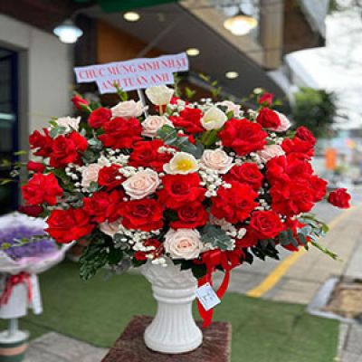 Shop hoa tươi Xã Hồng Quang Thanh Miện Hải Dương