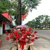 tiem-hoa-tuoi-xa-minh-tan-thuy-nguyen-hai-phong - ảnh nhỏ  1