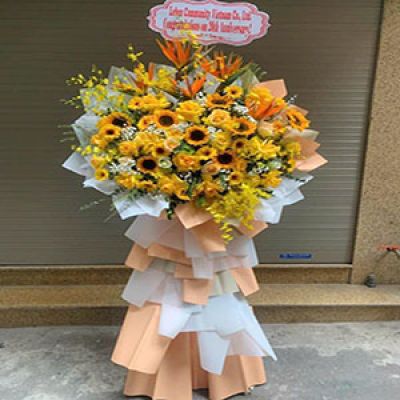 Tiệm hoa tươi xã Thụy Hương Kiến Thuỵ Hải Phòng