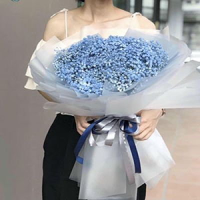 Tiệm hoa tươi Xã Hàm Tử Khoái Châu Hưng Yên