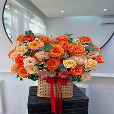 Dịch vụ hoa tươi Xã An Tràng Quỳnh Phụ Thái Bình