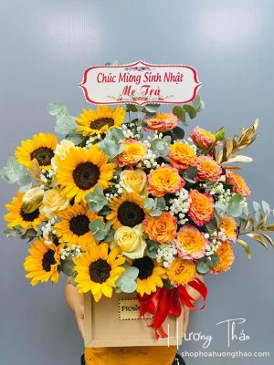 Ánh mặt trời - HG056