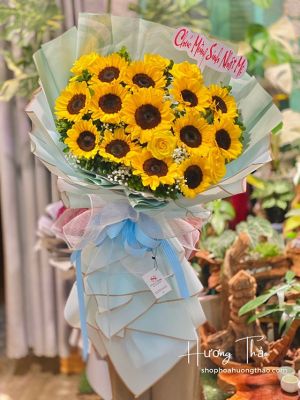 HB03 - Ánh nắng của anh