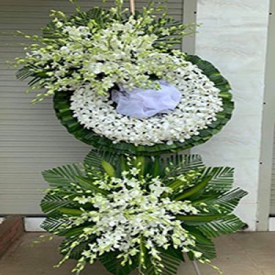 Shop hoa tươi Xã Khánh An Yên Khánh Ninh Bình
