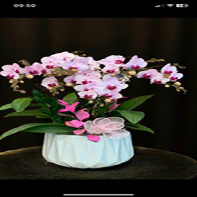Dịch vụ hoa tươi xã Diên Toàn Diên Khánh Khánh Hòa