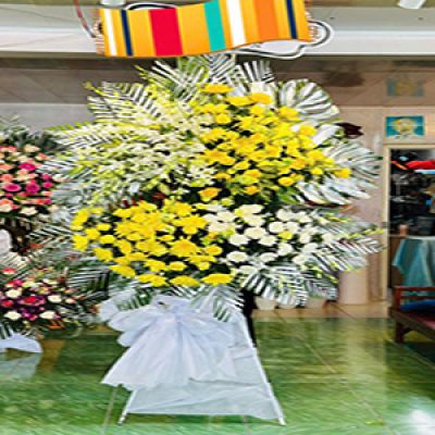 Dịch vụ hoa tươi xã Ma Nới Ninh Sơn ninh thuận 
