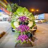 dich-vu-hoa-tuoi-phan-thiet-binh-thuan - ảnh nhỏ  1