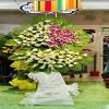 dich-vu-hoa-tuoi-xa-chi-cong-tuy-phong-binh-thuan - ảnh nhỏ  1