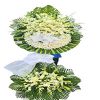 dich-vu-hoa-tuoi-phuong-phu-thinh-binh-long-binh-phuoc - ảnh nhỏ  1