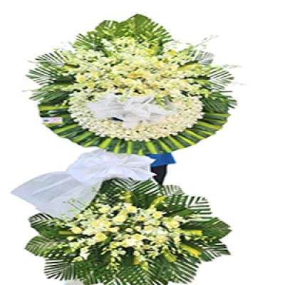 Dịch vụ hoa tươi phường Phú Thịnh Bình Long Bình phước