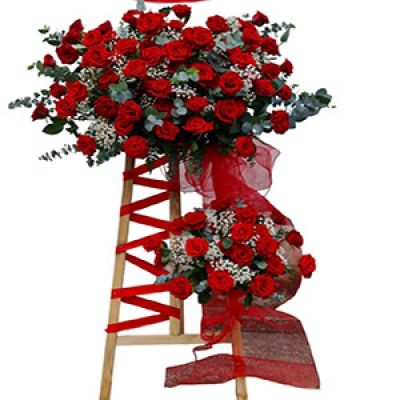 Dịch vụ hoa tươi xã Đức Hạnh Bù Gia Mập Bình phước