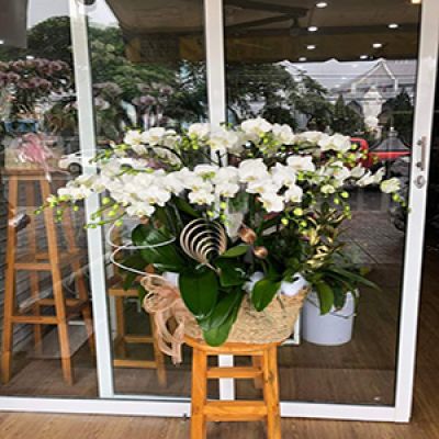 Dịch vụ hoa tươi phường Bình Chuẩn thuận an Bình Dương 