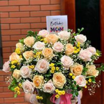 Shop hoa tươi phường An Hội Bến Tre 