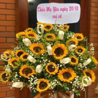 Shop hoa tươi phường Phú Khương Bến Tre 
