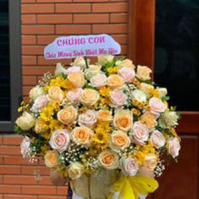 Shop hoa tươi phường Phường 1 Bến Tre 