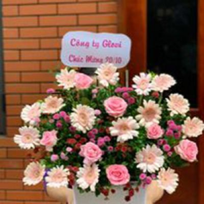 Shop hoa tươi phường Phường 3 Bến Tre 