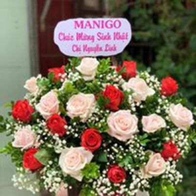 Shop hoa tươi phường Phường 5 Bến Tre 