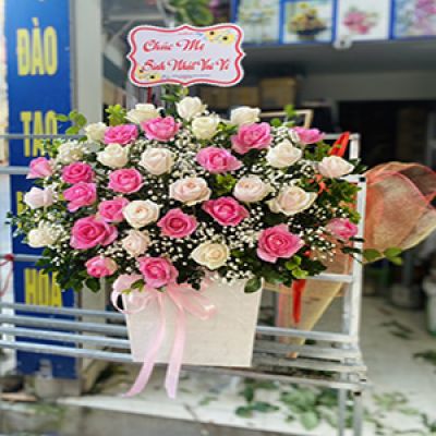 Shop hoa tươi xã An Phú Trung Ba Tri Bến Tre 