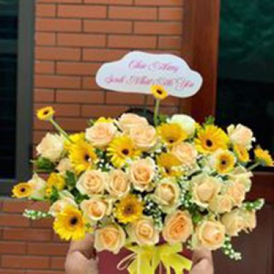 Shop hoa tươi xã An Phước Châu Thành Bến Tre 