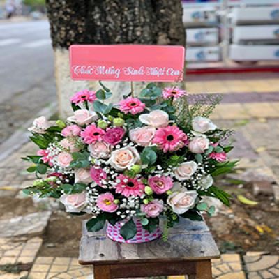 Shop hoa tươi xã An Thạnh Mỏ Cày Nam Bến Tre 