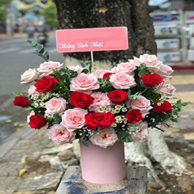 Shop hoa tươi xã Cẩm Sơn Mỏ Cày Nam Bến Tre 