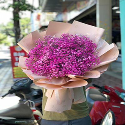 Shop hoa tươi xã Phú Túc Châu Thành Bến Tre 