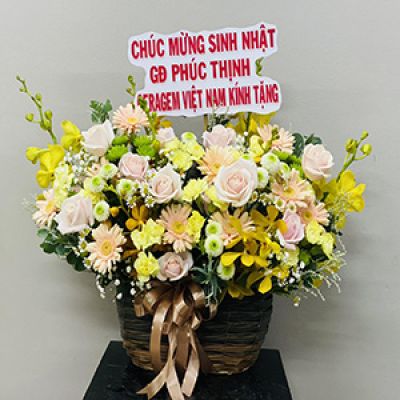 Shop hoa tươi xã Tân Hào Giồng Trôm Bến Tre 