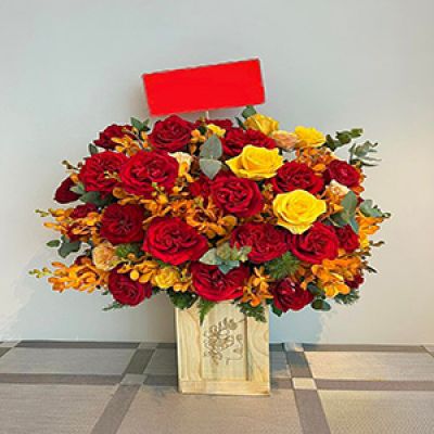 Shop hoa tươi xã Tân Hội Mỏ Cày Nam Bến Tre 