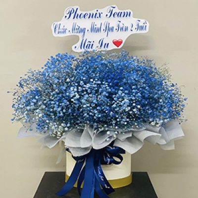 Shop hoa tươi xã Tân Lợi Thạnh Giồng Trôm Bến Tre 
