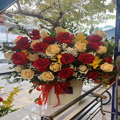 Shop hoa tươi xã Tân Lộc Tam Bình Vĩnh Long 