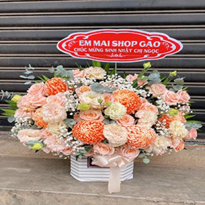 Shop hoa tươi phường Phú Thạnh Quận Tân Phú 
