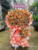 dat-hoa-khai-truong-dong-ha-chat-luong-gia-re - ảnh nhỏ  1