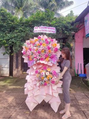 Đặt Hoa Khai Trương Hải Dương Chất Lượng Giá Rẻ