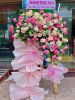 dat-hoa-khai-truong-hai-phong-chat-luong-gia-re - ảnh nhỏ  1