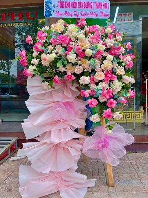 Đặt Hoa Khai Trương Hải Phòng Chất Lượng Giá Rẻ