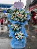 dat-hoa-khai-truong-tan-an-chat-luong-gia-re - ảnh nhỏ  1