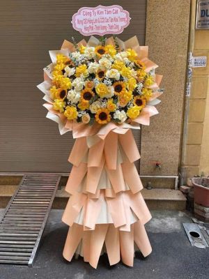 Đặt Hoa Khai Trương Bình Long Giá Hợp Lý Uy Tín  