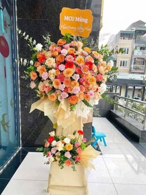 Đặt Hoa Khai Trương Bình Minh Giá Hợp Lý Uy Tín  