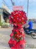 dat-hoa-khai-truong-haitkinh-mon-gia-hop-ly-uy-tin - ảnh nhỏ  1