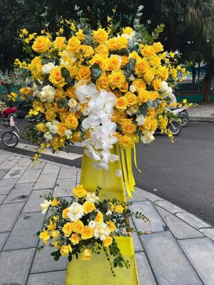 Đặt Hoa Khai Trương Ninh Hòa Giá Hợp Lý Uy Tín  