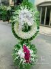 dat-hoa-vieng-tang-bien-hoa-chat-luong-gia-re - ảnh nhỏ  1