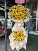 shop-hoa-tuoi-xa-dac-pring-da-nang - ảnh nhỏ  1