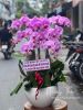 shop-hoa-tuoi-xa-lam-thao-bac-ninh - ảnh nhỏ  1
