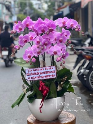 Shop Hoa Tươi Xã Lâm Thao Bắc Ninh