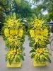 shop-hoa-tuoi-xa-phong-thanh-ca-mau - ảnh nhỏ  1